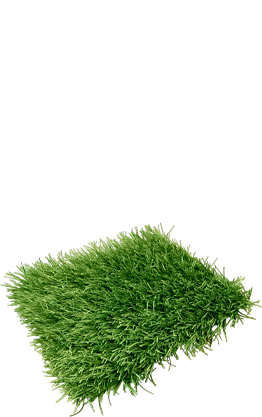 Искуственный газон ТехноГрасс